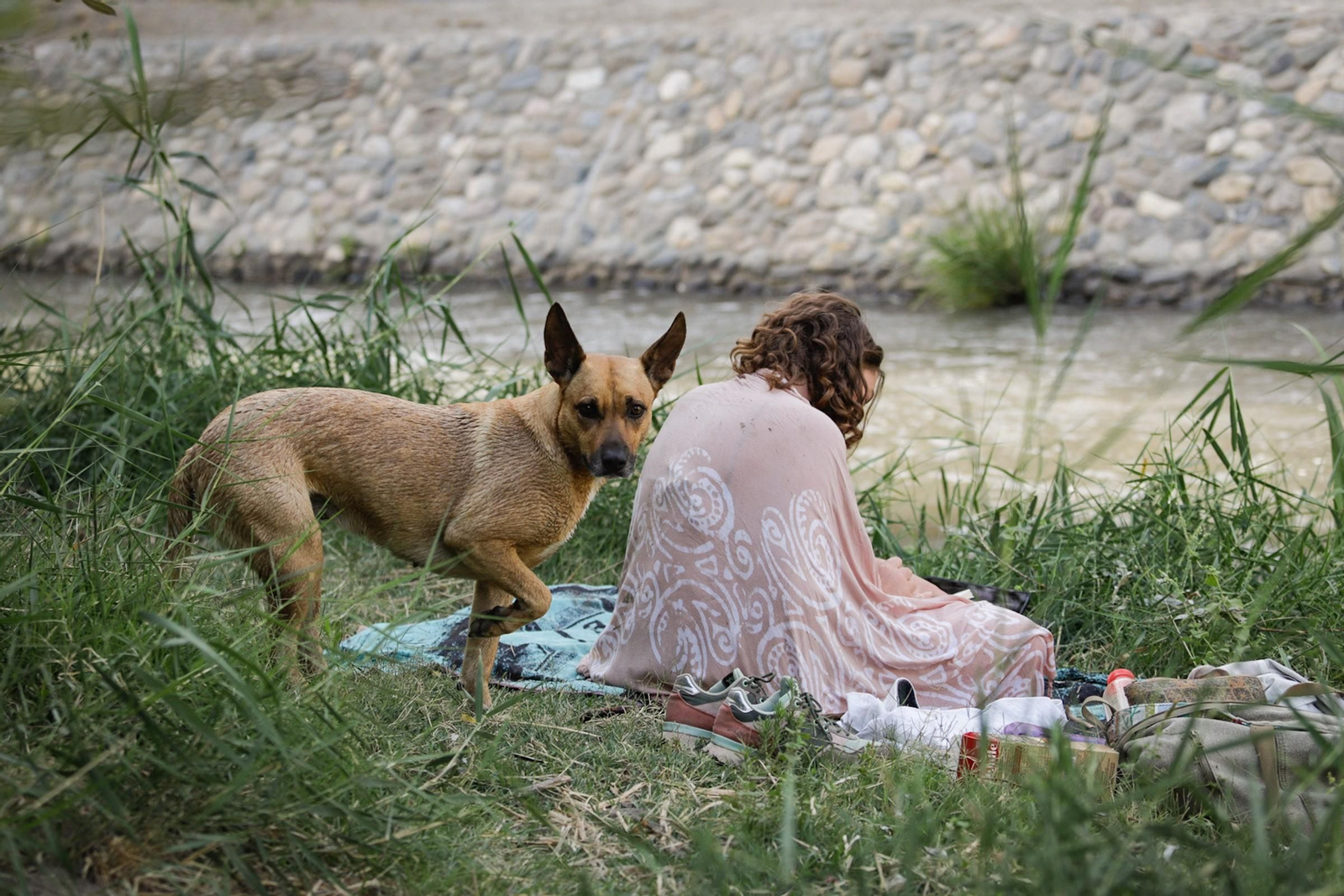 Las mejores imágenes del baño prohibido en Granada: el río Genil como refugio contra el calor
