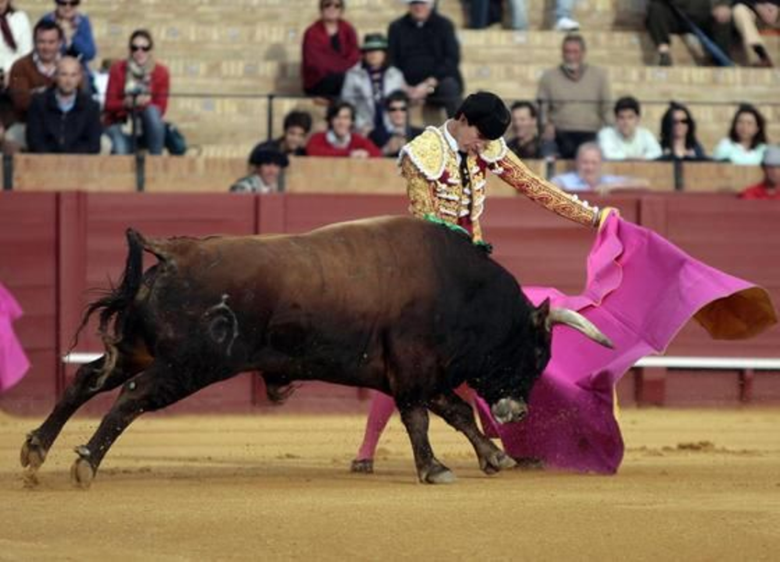 Esaú Fernández con su primer toro en la Maestranza.

Foto: Juan Carlos Muñoz