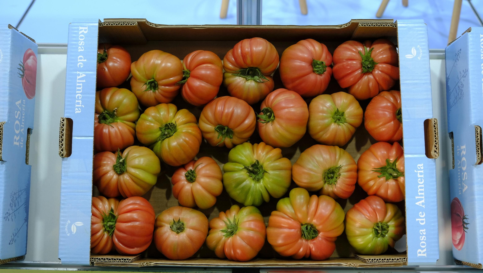 Las imágenes del primer día de Expolevante Níjar 2024