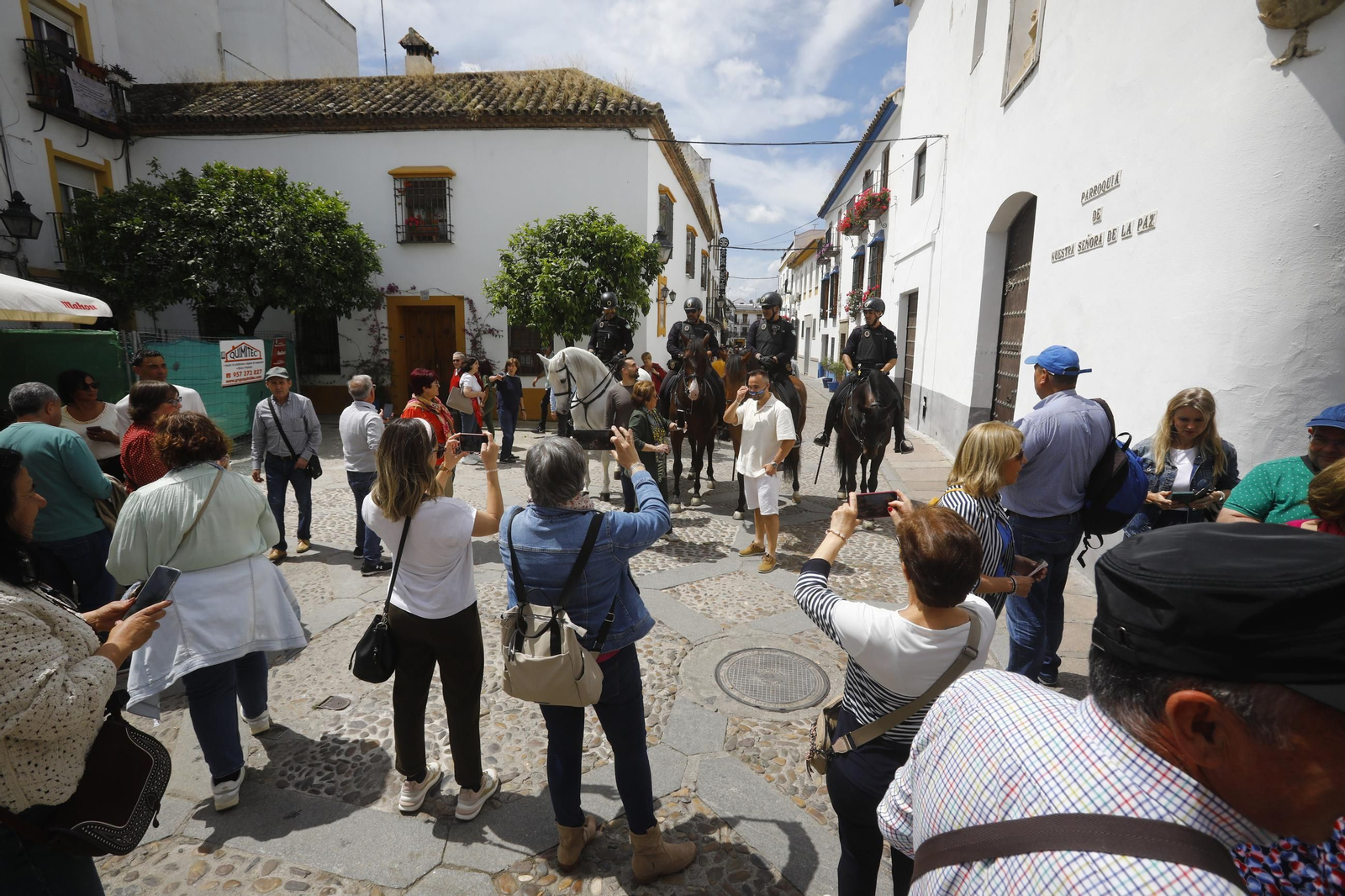Colas e ilusión en el primer sábado de los Patios de Córdoba, en imágenes