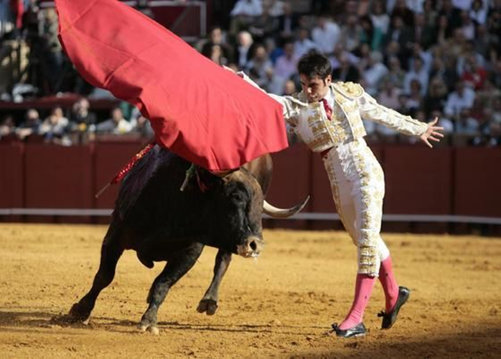Vega, junto al toro. 

Foto: Juan Carlos Muñoz