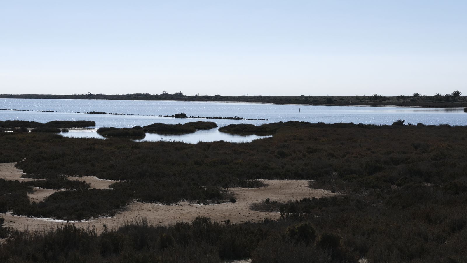 Imágenes de las Salinas de Cabo de Gata con agua otra vez
