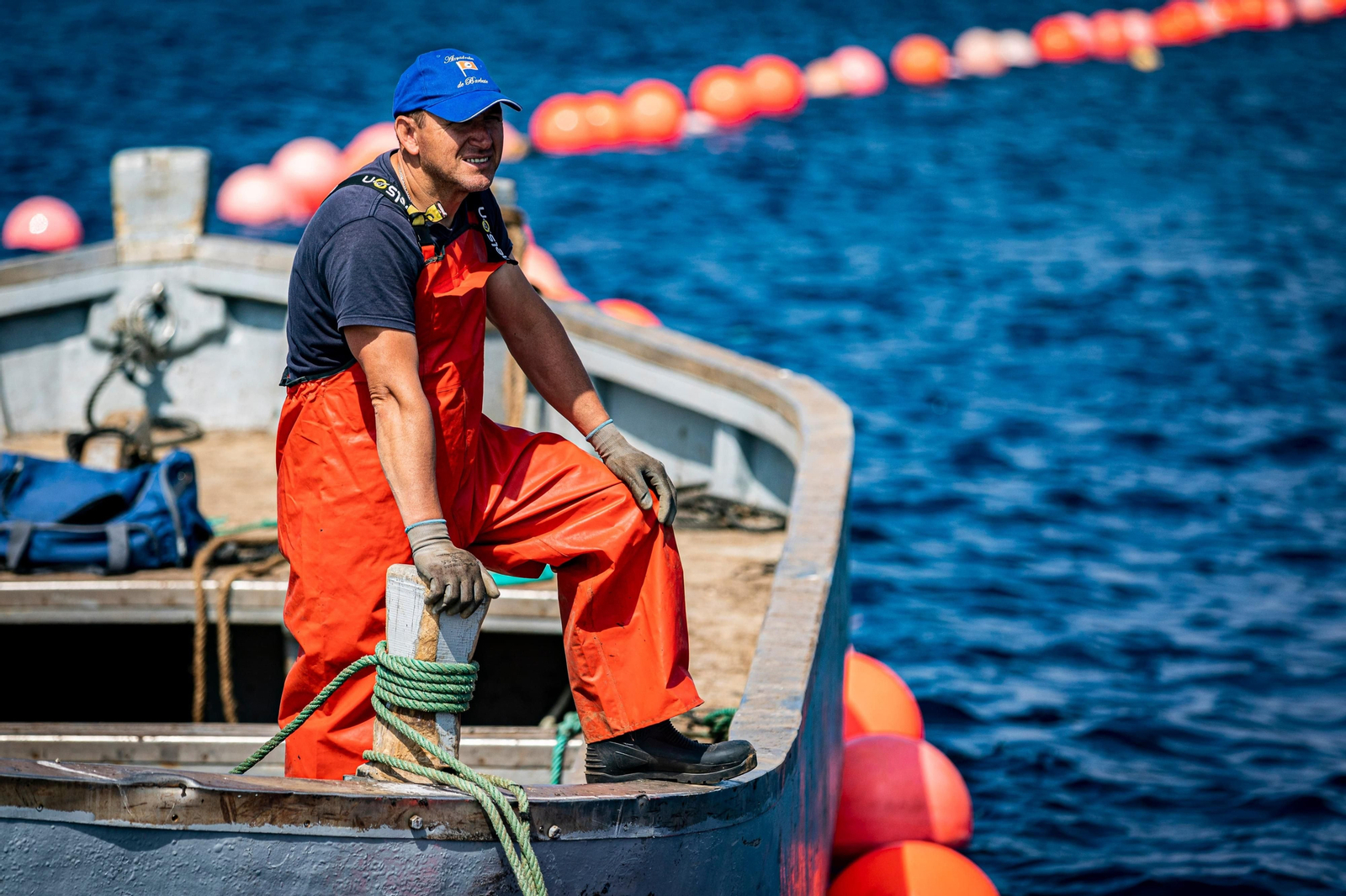 Las imágenes de la primera levantá en la almadraba de Barbate