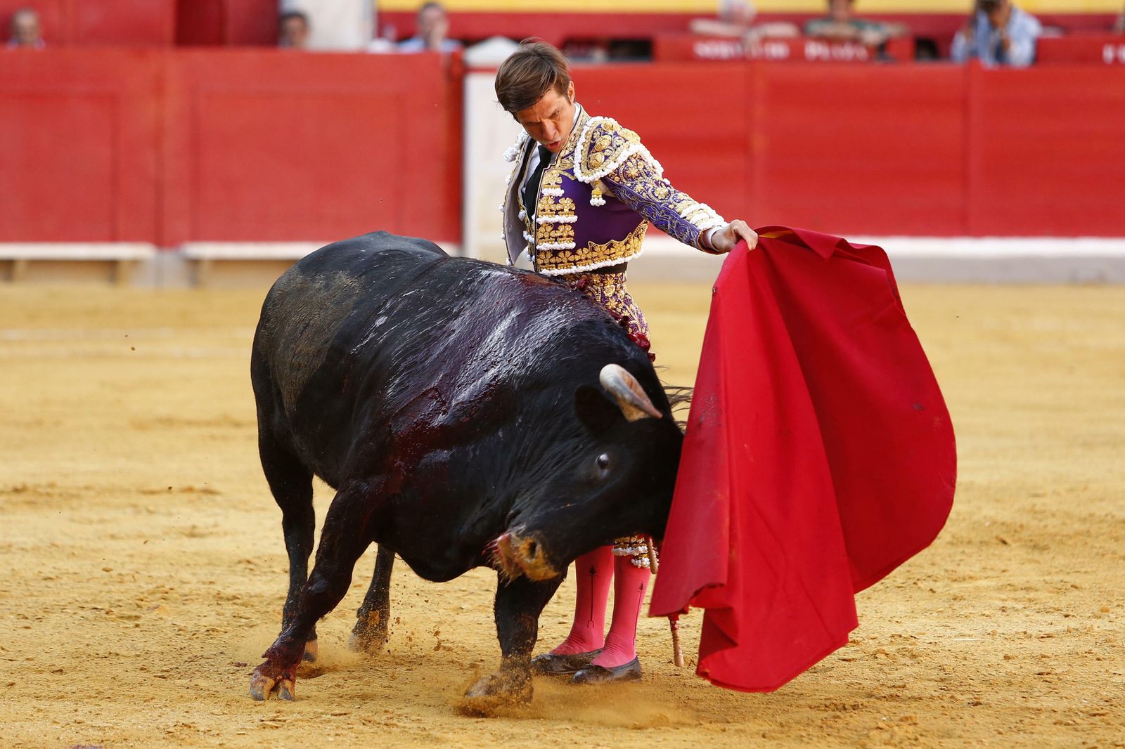 Las mejores imágenes de los toros en el Corpus