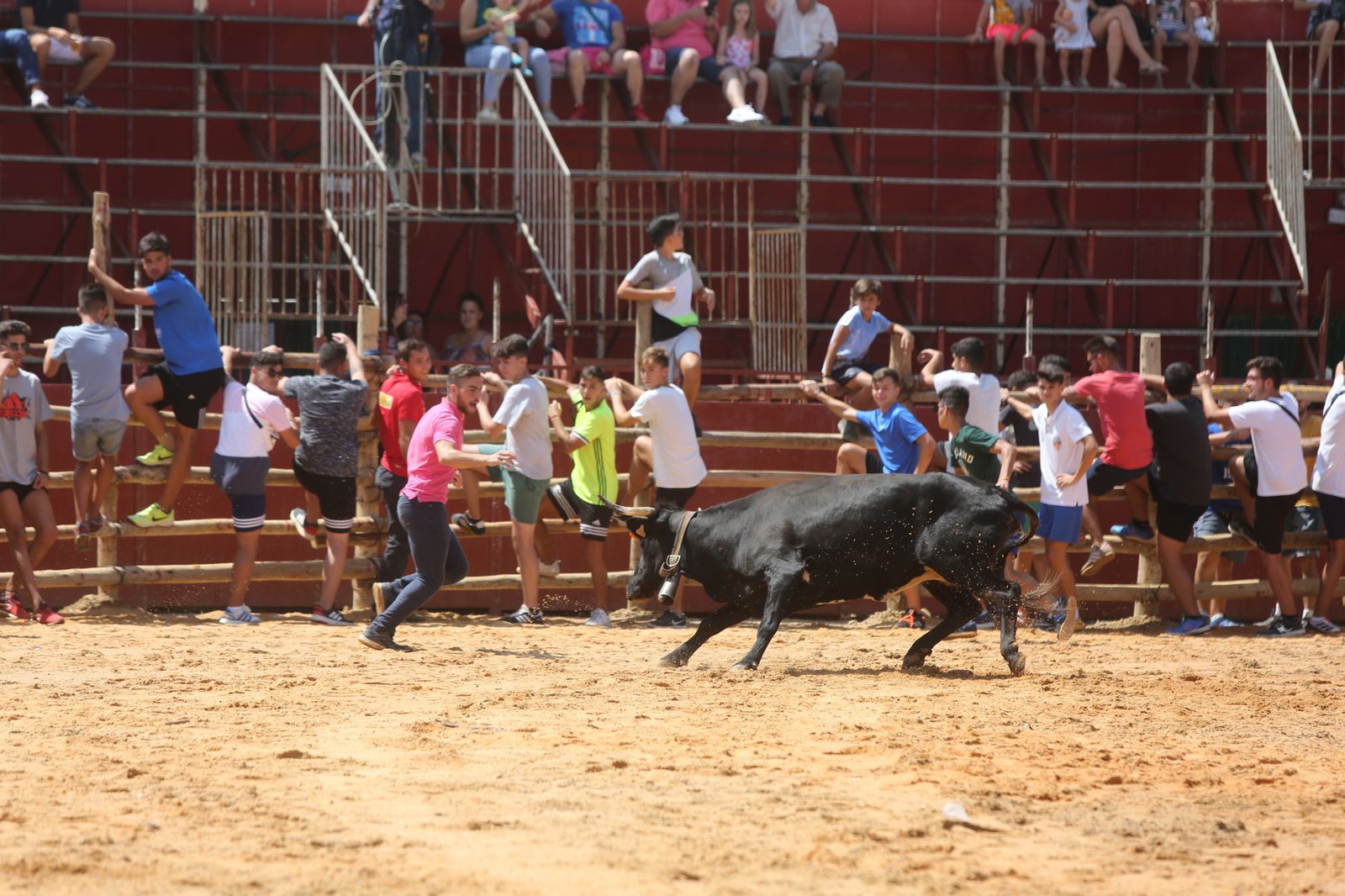 Capeas de Trigueros en imágenes