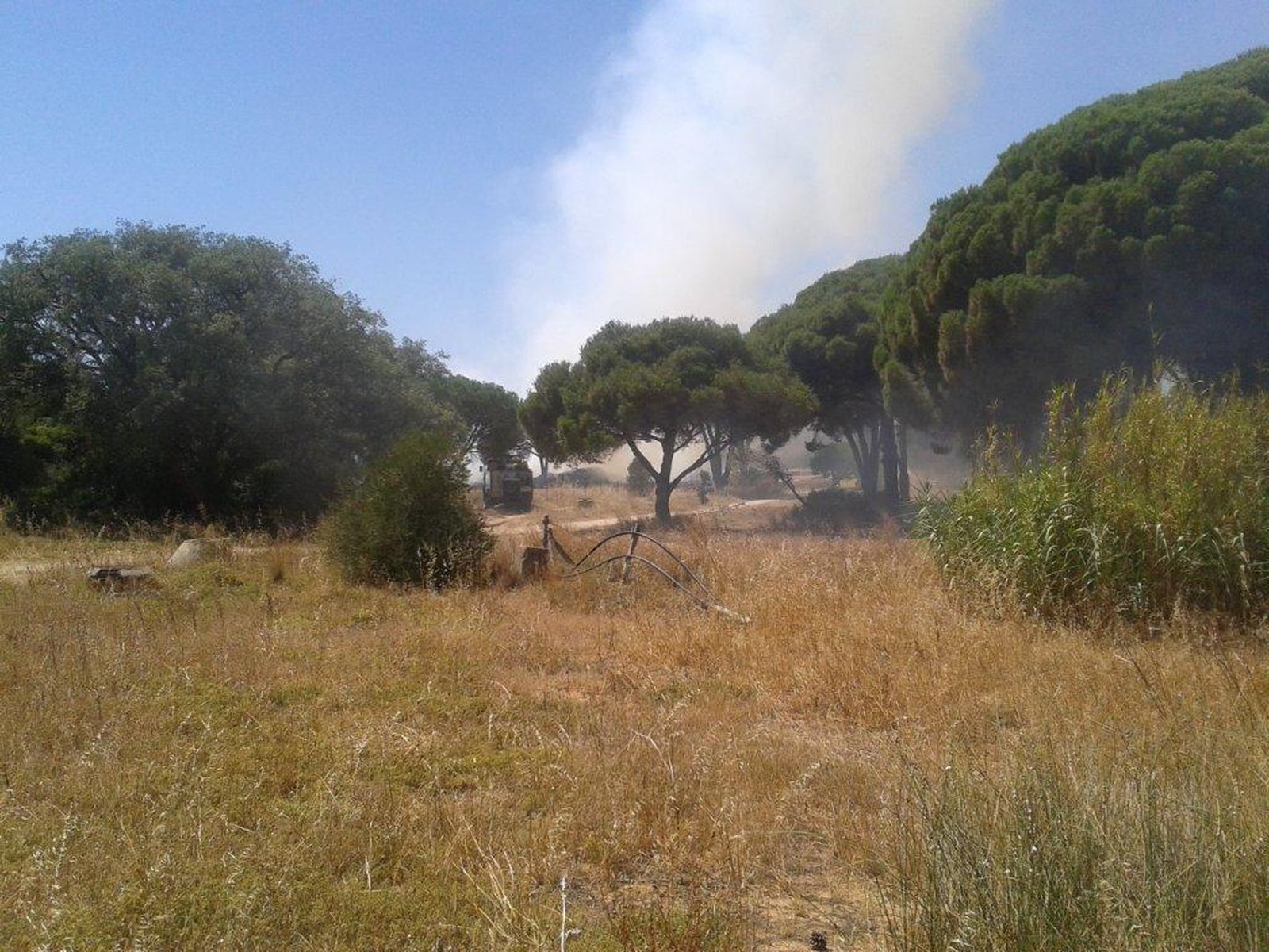 Una imagen del lugar del incendio.