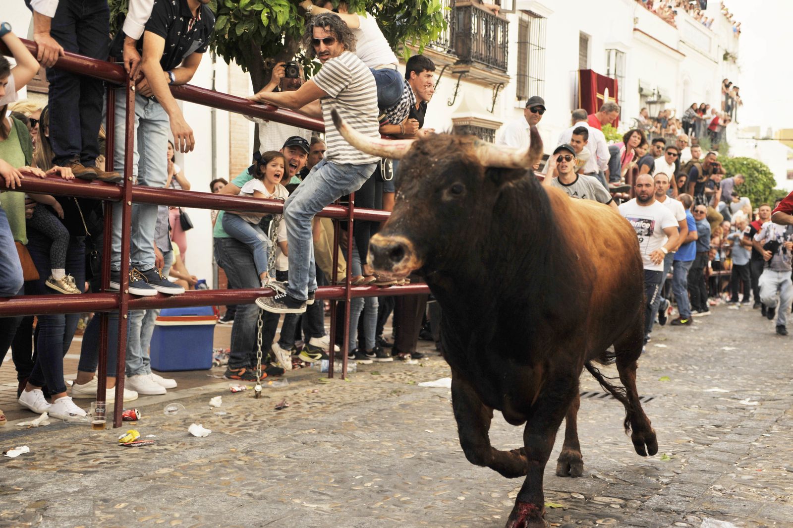 Las imágenes del Toro del Aleluya