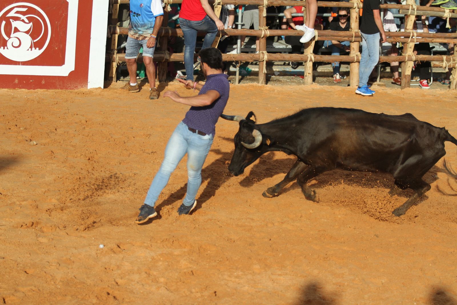 Comienzan las capeas en San Juan del Puerto
