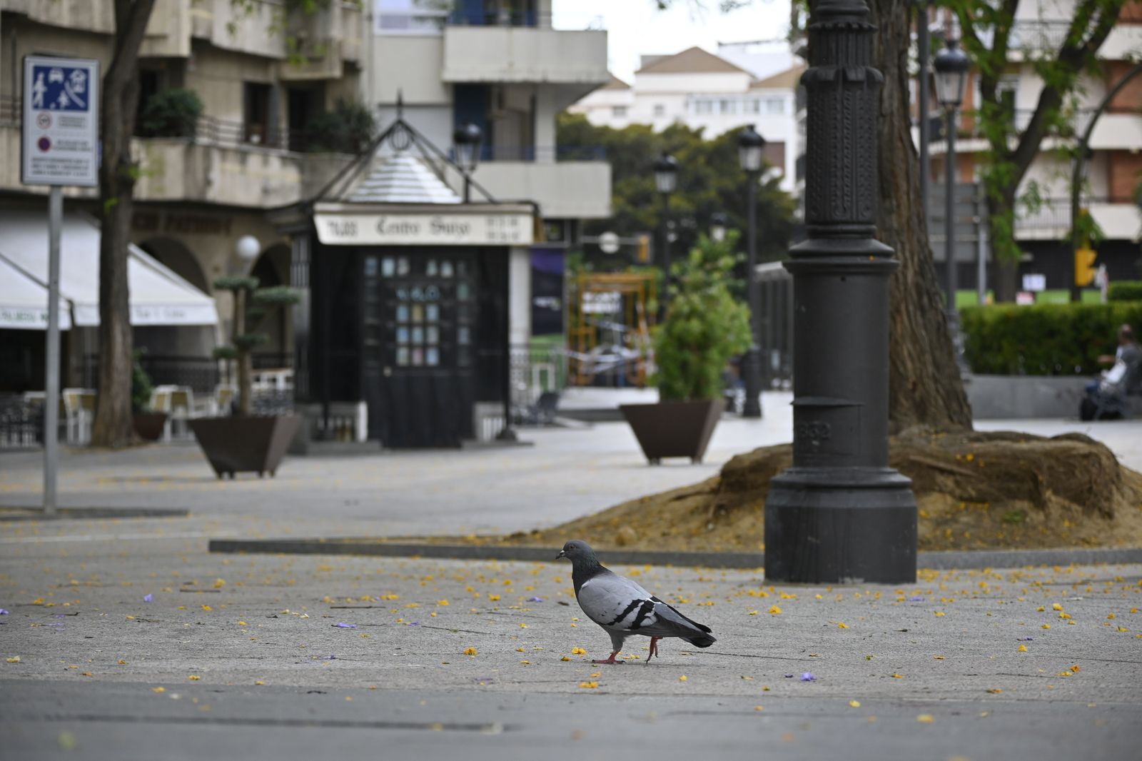 Imágenes del lunes 22 de mayo en Huelva