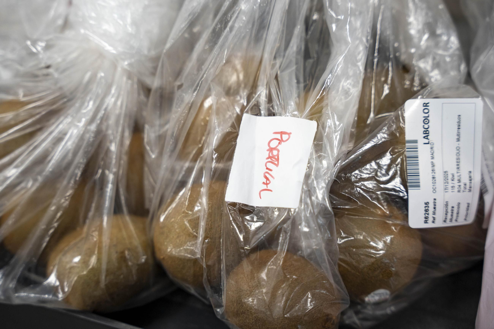 CIT COEX abre sus puertas al futuro: innovación, conocimiento y territorio