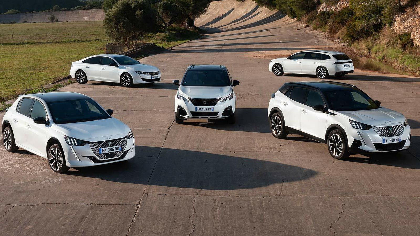 La gama de híbridos y eléctricos, al completo.