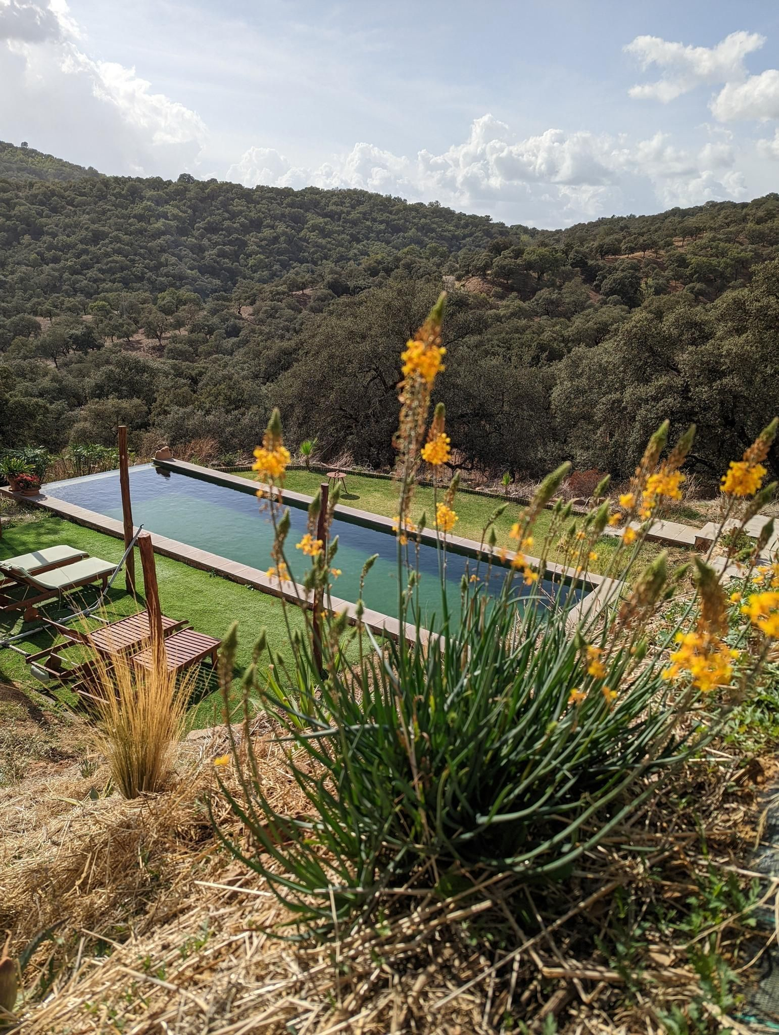 Desconectar en la Sierra de Huelva: así es la casa autosuficiente en la que relajarse en la naturaleza