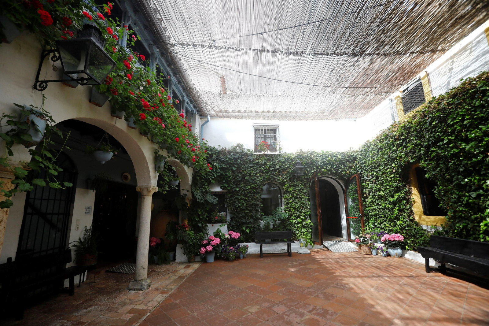 Los patios de Córdoba de la ruta Judería-San Francisco, en imágenes