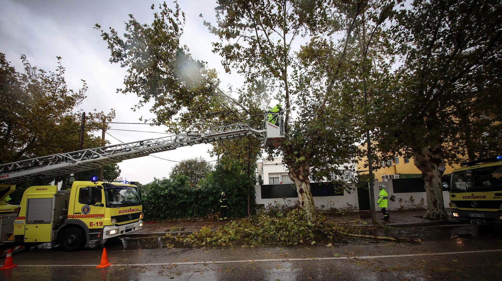Caos en Jerez por los destrozos del temporal de viento