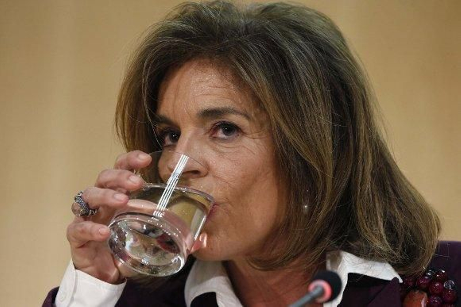 Botella: "Si se cometen errores, se debe preservar el prestigio del Ayuntamiento"