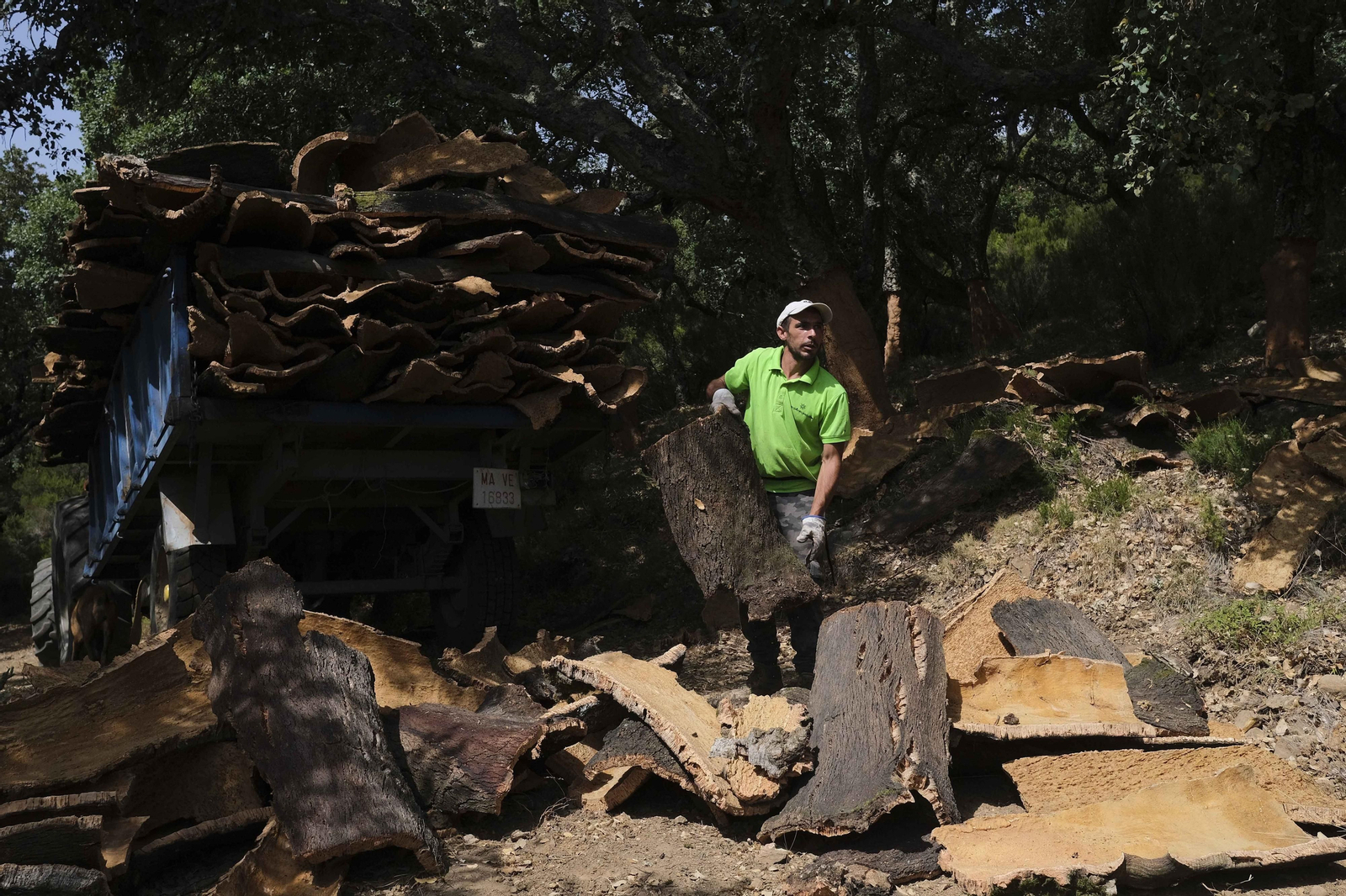 La fotos de la saca del corcho