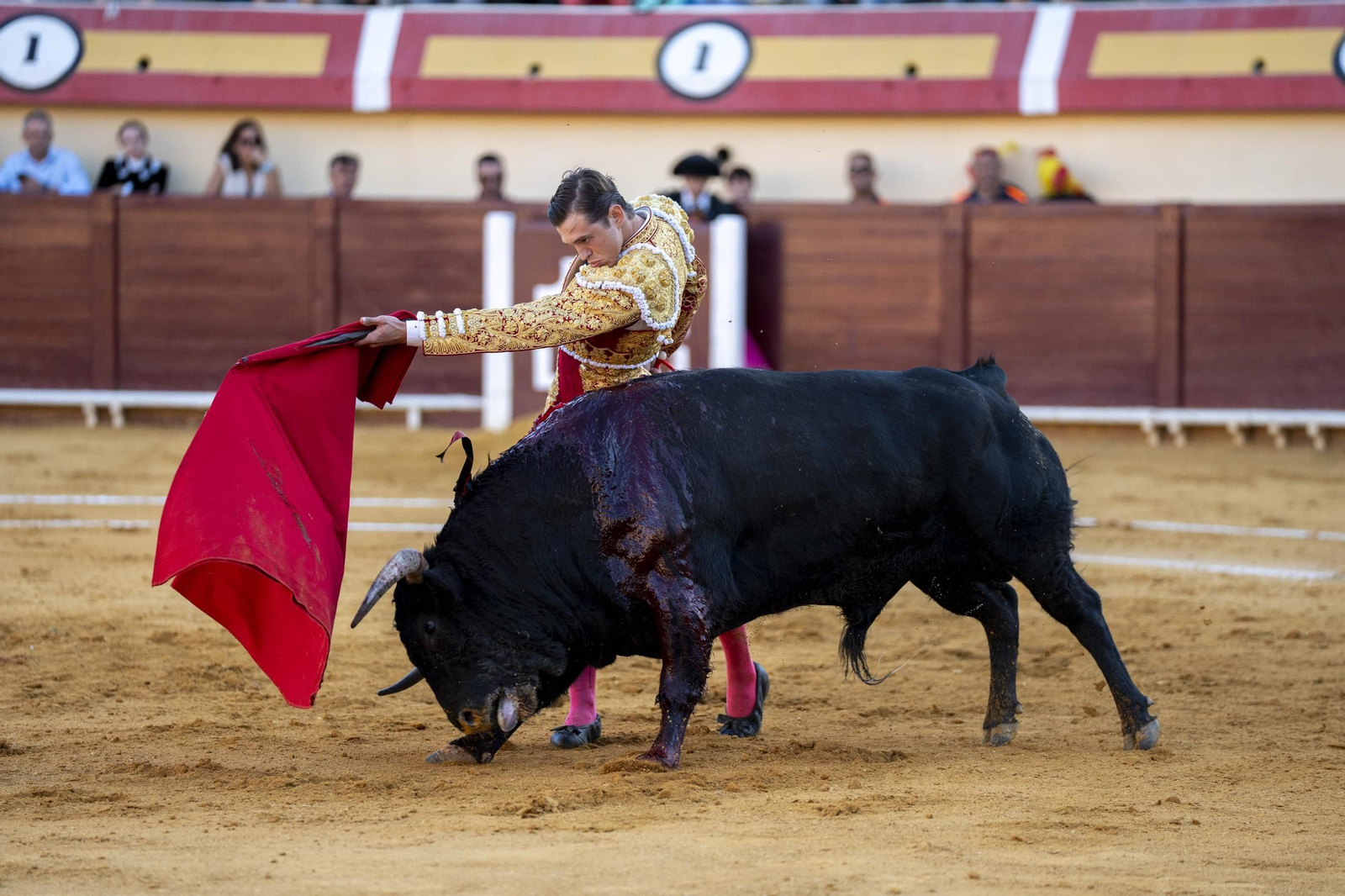Las imágenes de los toros en Vera