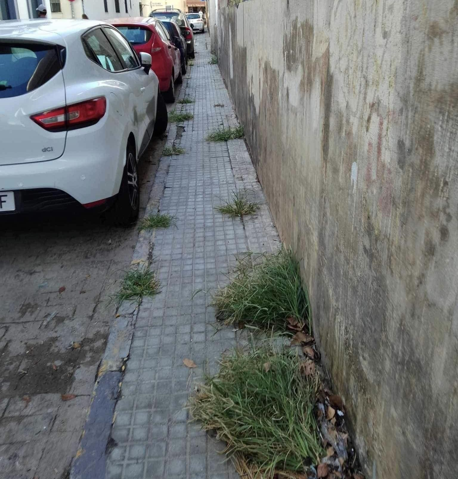 Calle Celestino Mutis