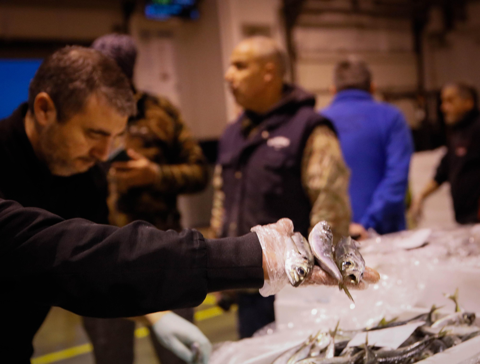 Te contamos en imágenes como ha sido la descarga de las traiñas en la lonja de Almería
