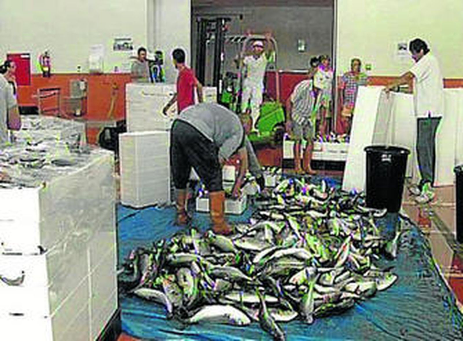 Venta del cargamento de anchovas en la lonja.