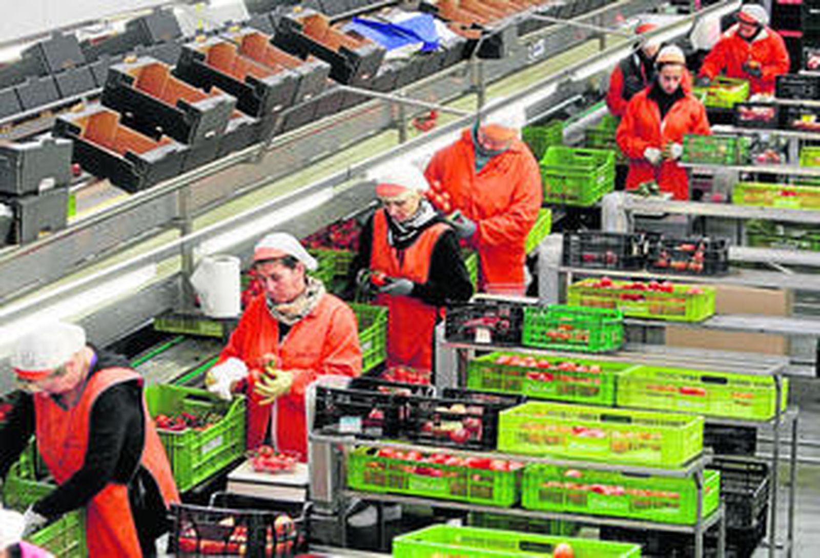 CAAE orienta sus objetivos hacia la industria ecológica para generar valor añadido.