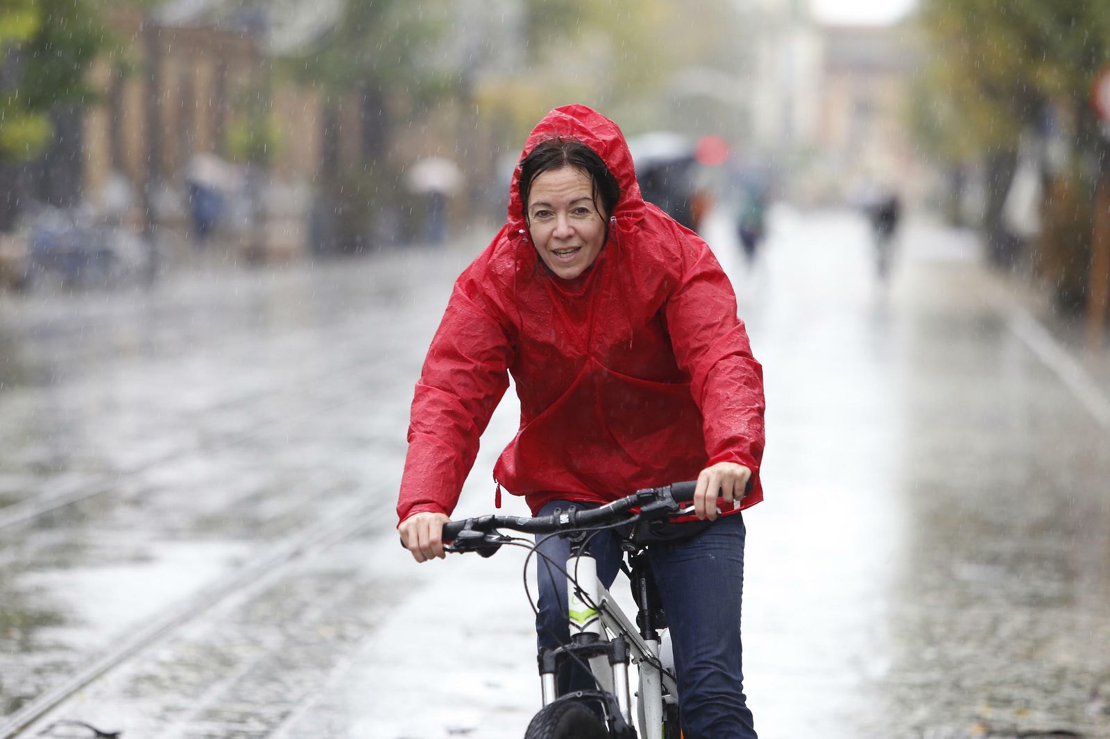 Las imágenes del temporal en Sevilla