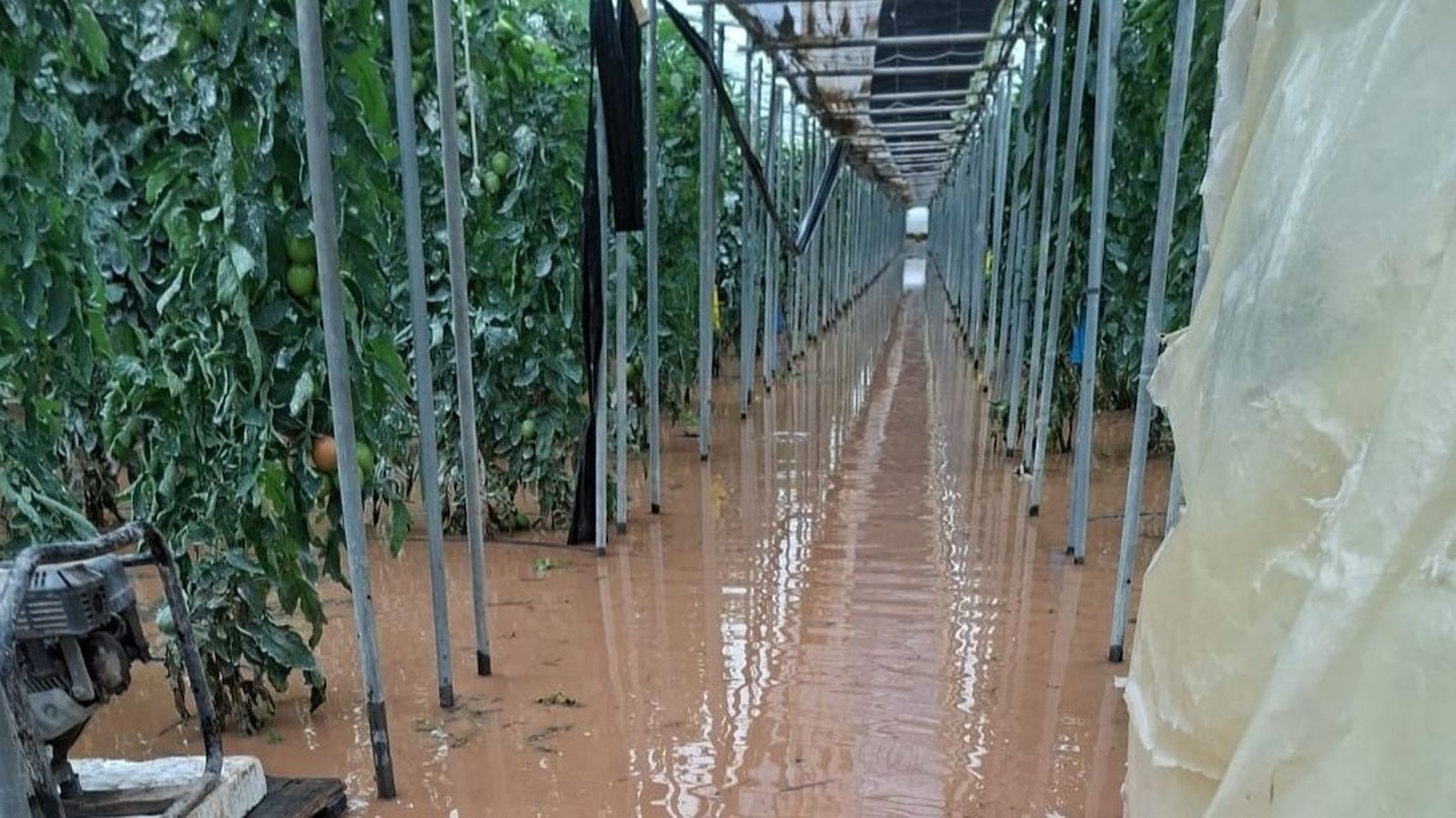 Un invernadero de la Costa Tropical inundado