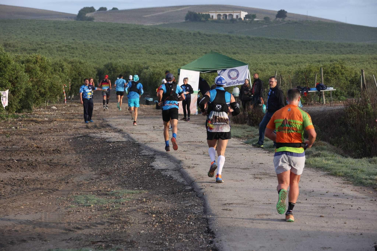 Imágenes de la V Sherry Maratón de Jerez