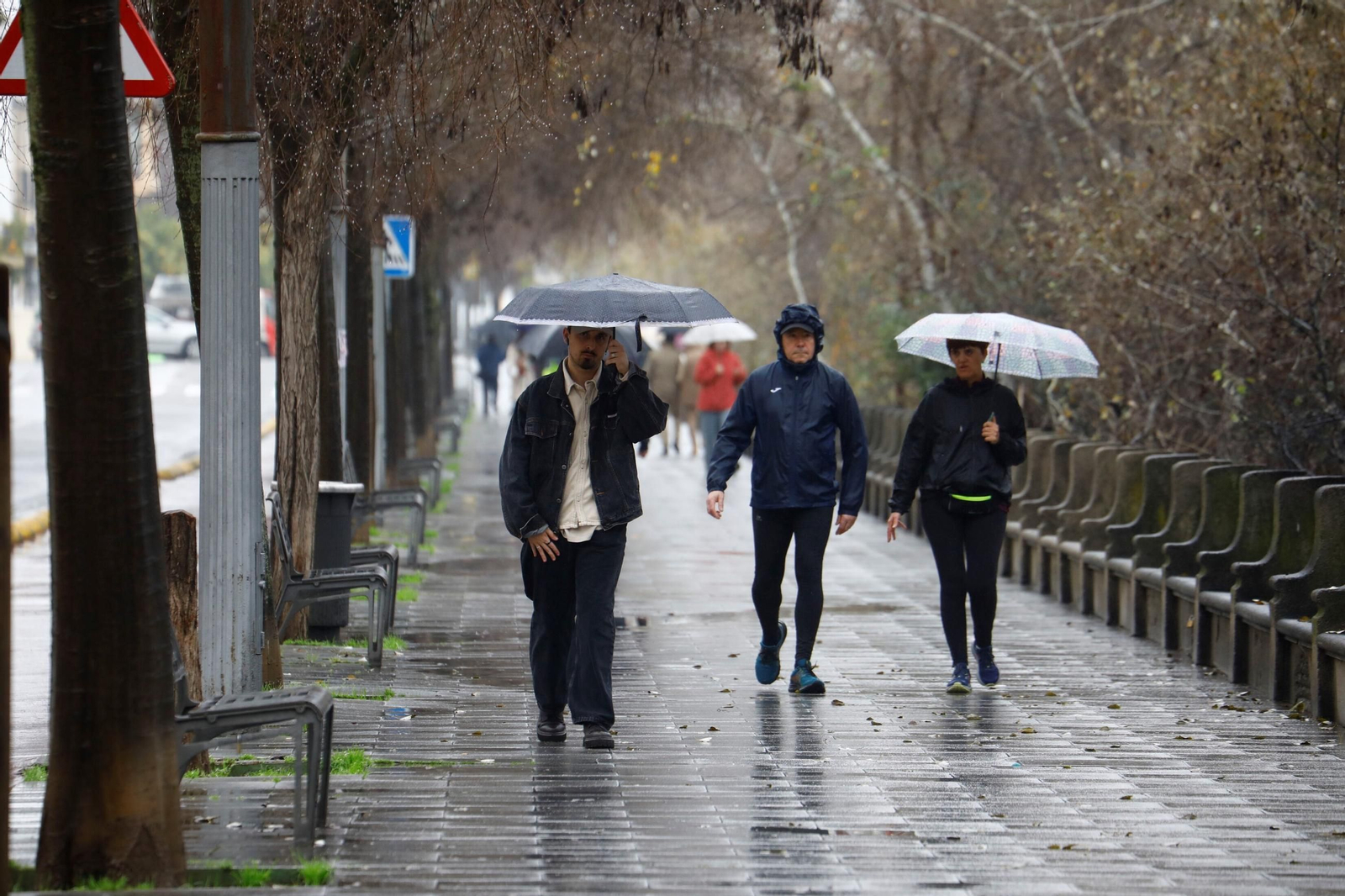El paso de la borrasca Herminia por Córdoba, en imágenes