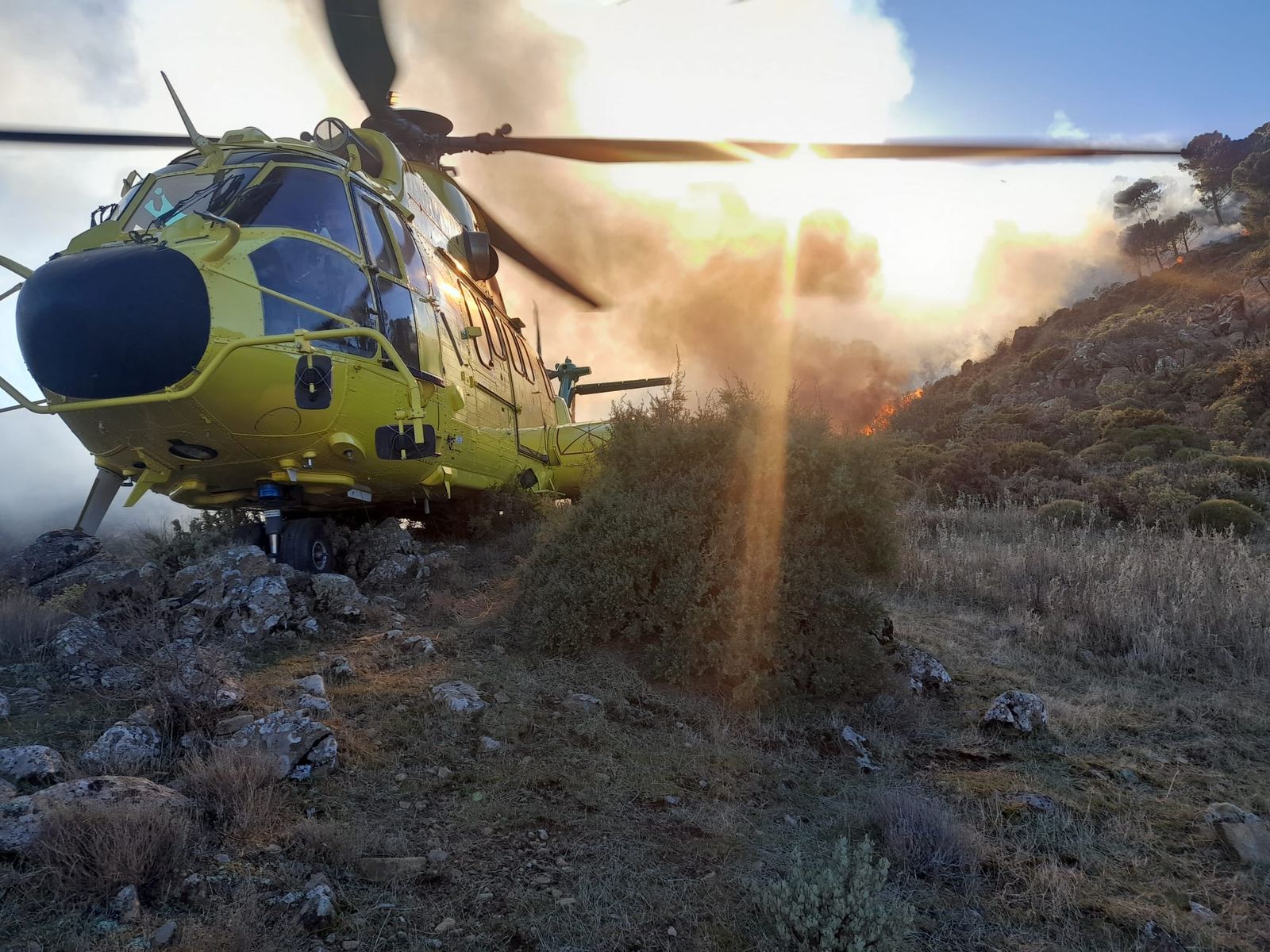 Incendio en la Sierra de Las Nieves, en el término municipal de Istán, este viernes