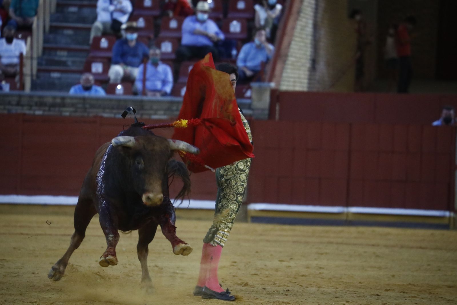 Las fotografías de la novillada con picadores de la Feria Taurina de Córdoba