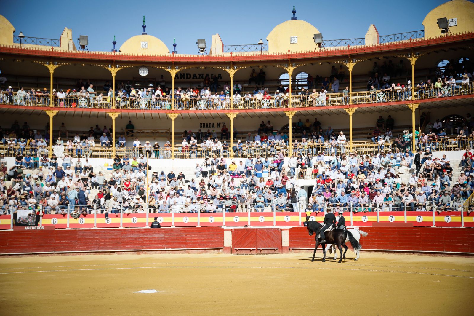 Imágenes del festival mixto lucha contra el cáncer