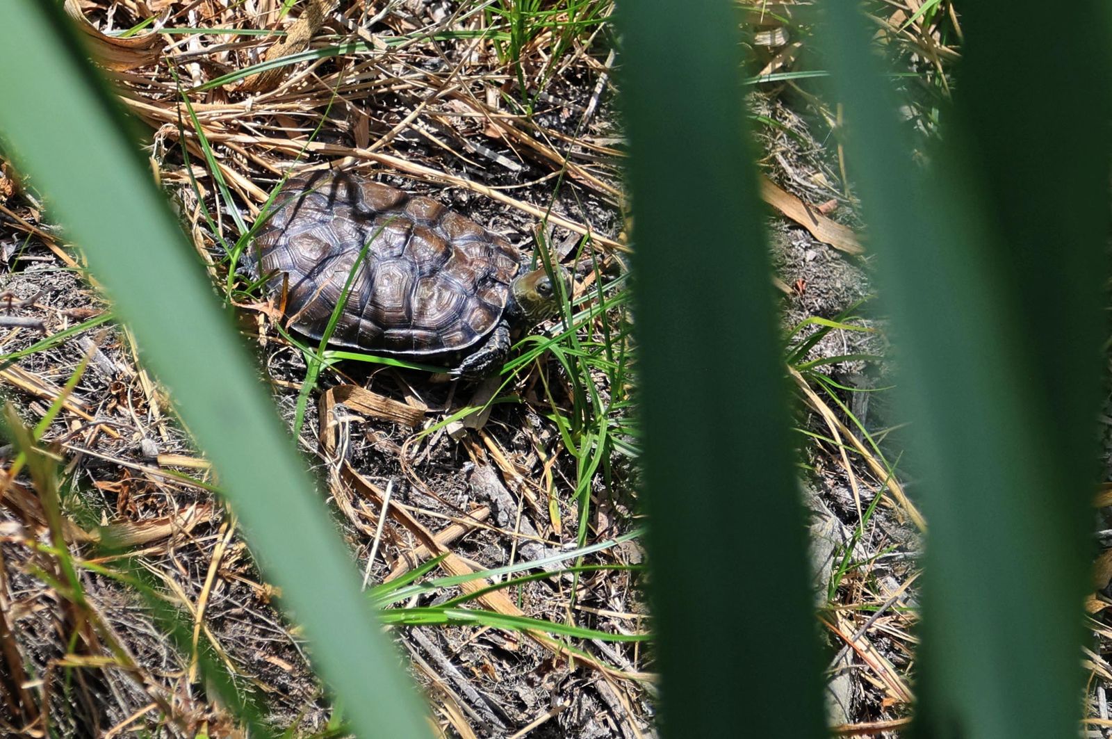 Imágenes del lunes 23 de junio en Huelva
