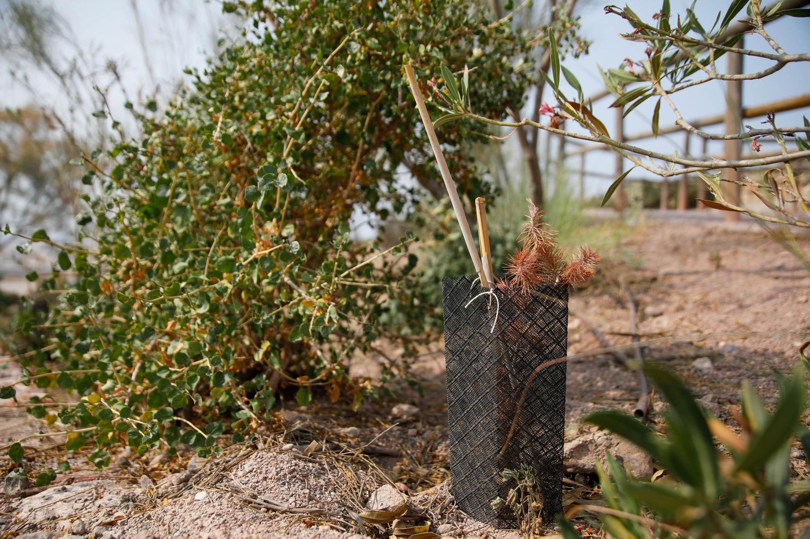 Presentación proyecto custodia compartida del Cordel de la Campita de Almería