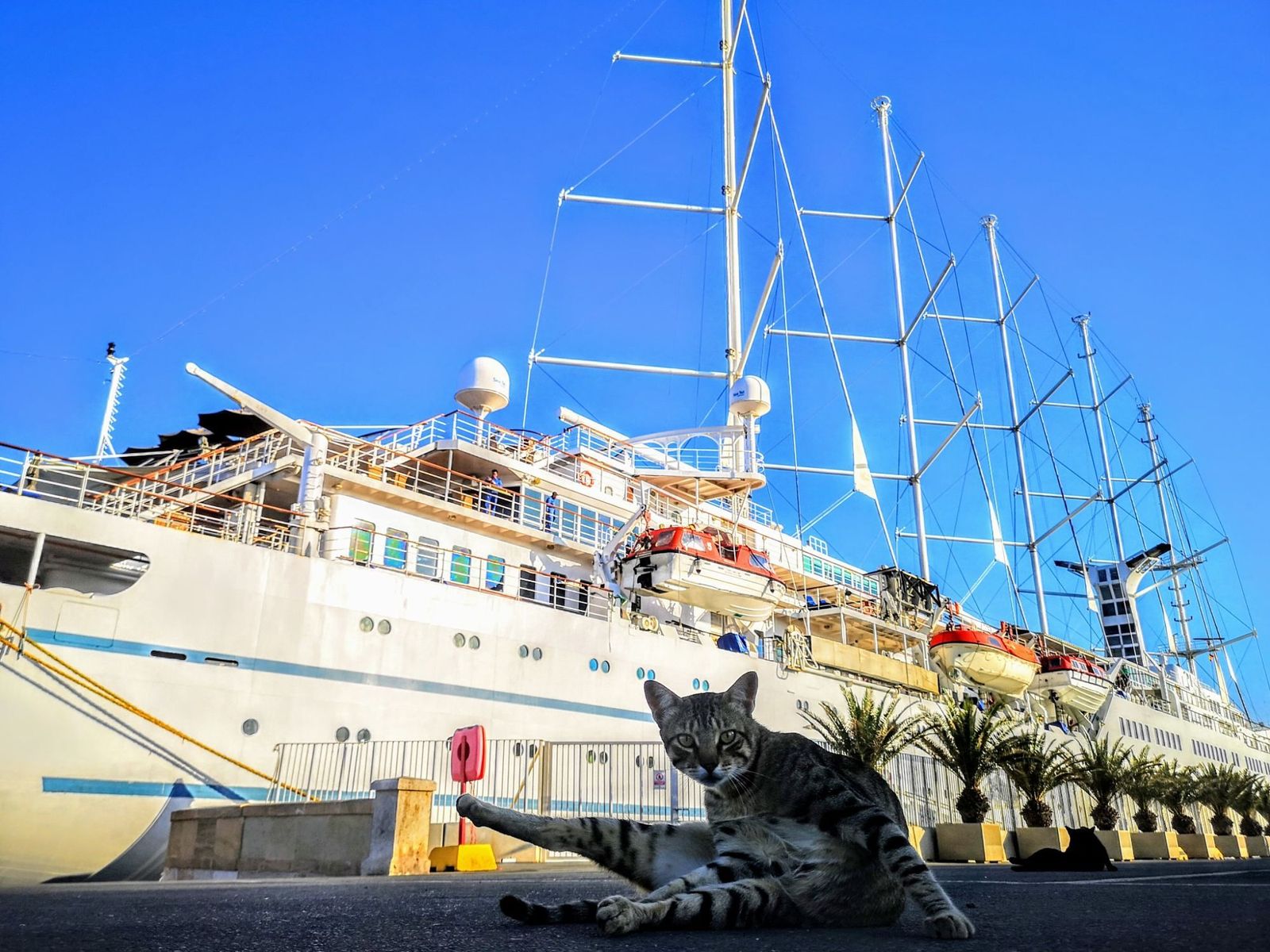 El crucero Wind Surf llegará mañana al Puerto de Almería.