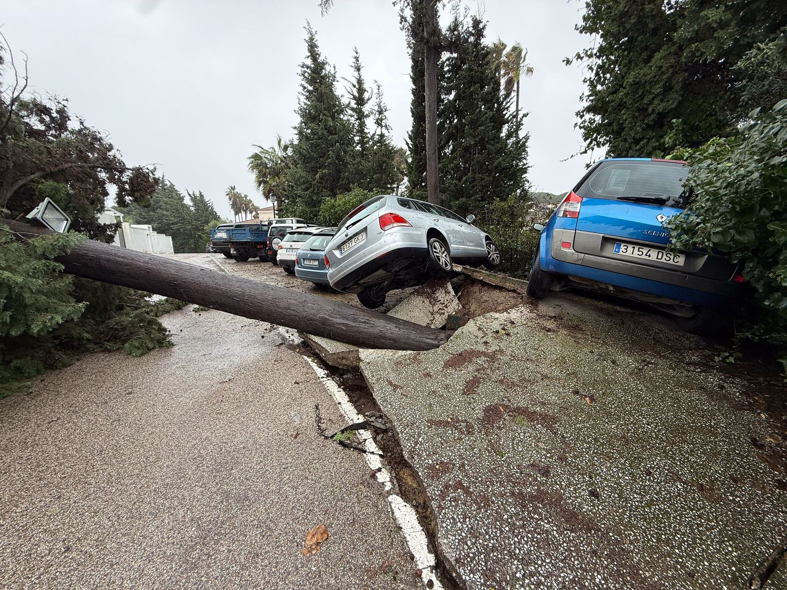 Fotos: Así amaneció el Campo de Gibraltar tras el paso de la borrasca Leonardo