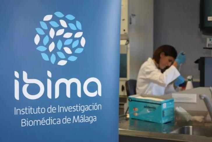 Investigadores de Málaga desarrollan una IA que detecta obstrucciones arteriales con "máxima precisión"