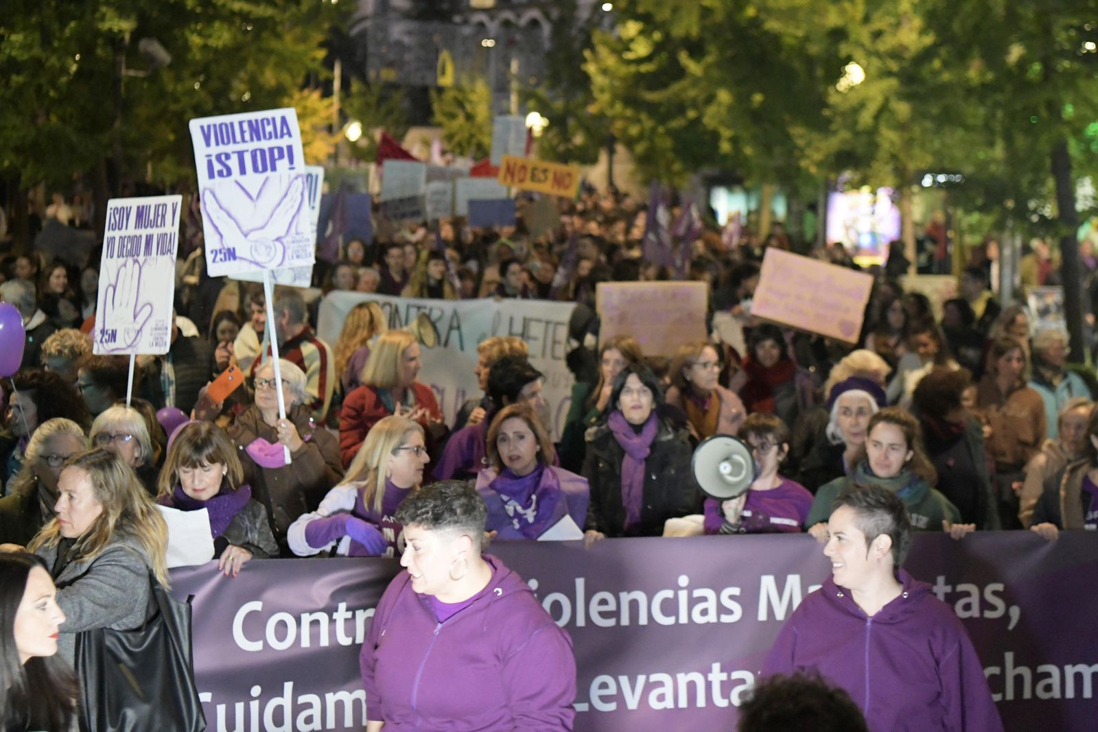 La manifestación del 25-N en Granada, en imágenes