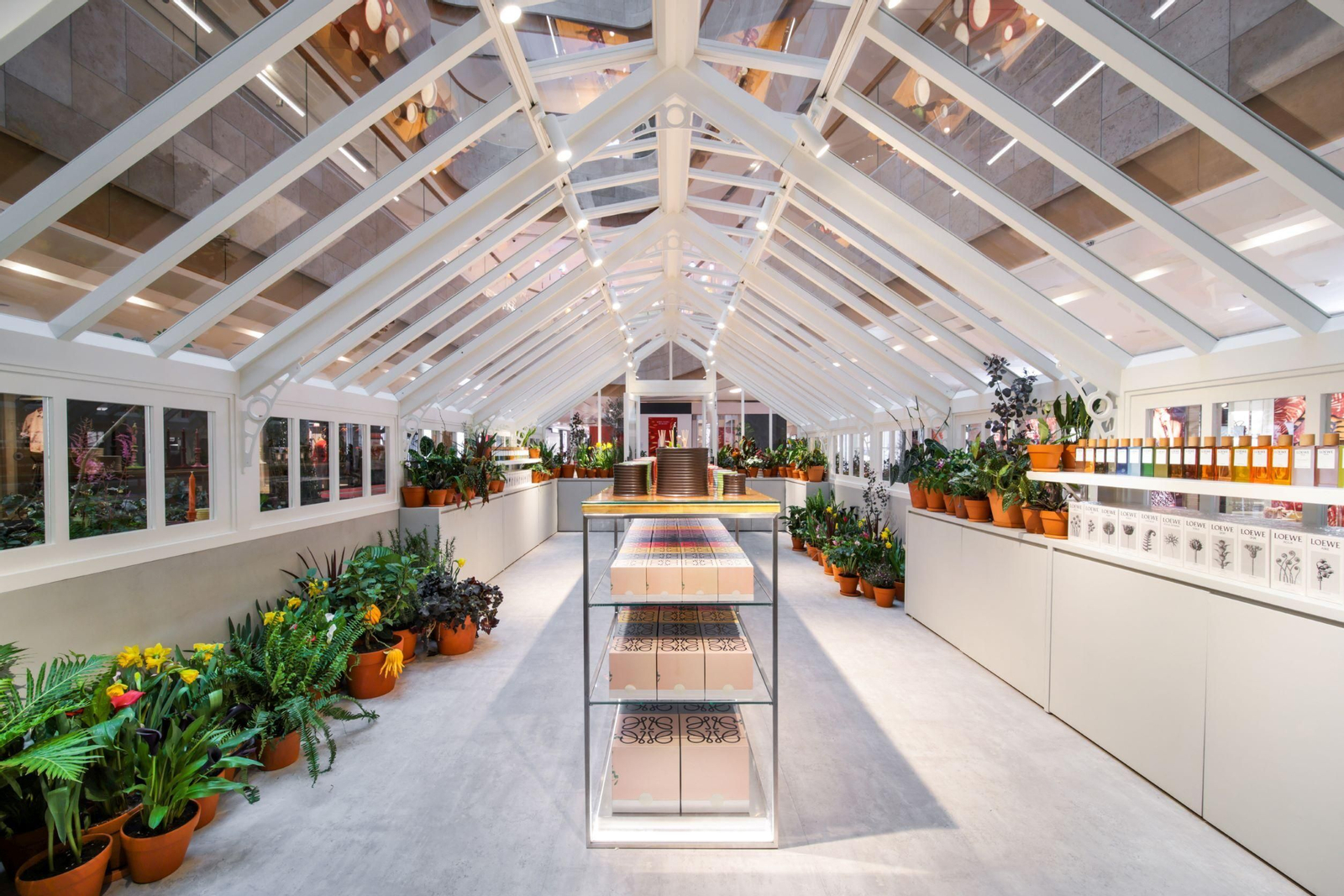 Loewe Greenhouse, el invernadero de la marca de perfumes llega al Muelle Uno a final de mes