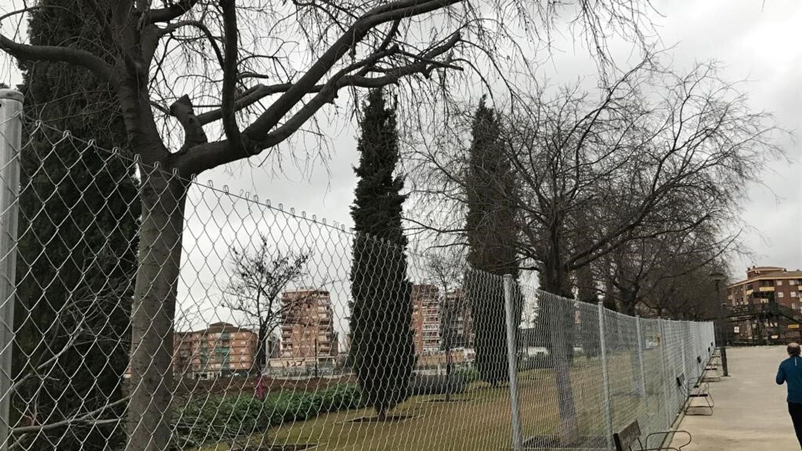 Así estaba la avenida