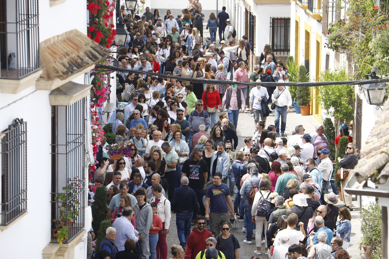 Colas e ilusión en el primer sábado de los Patios de Córdoba, en imágenes