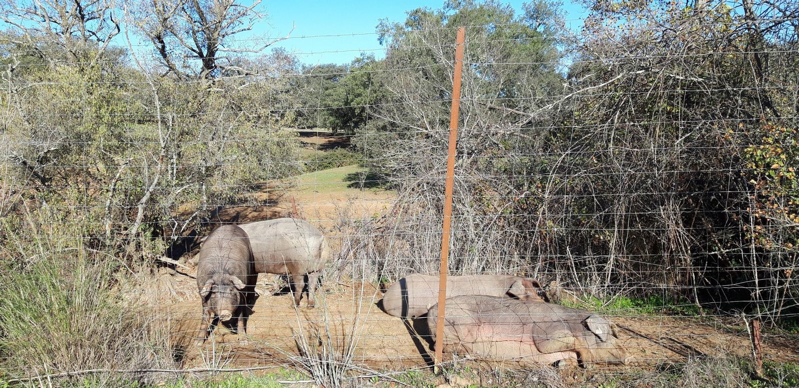 Las fotos de las ruta del Arroyo de las Cañas