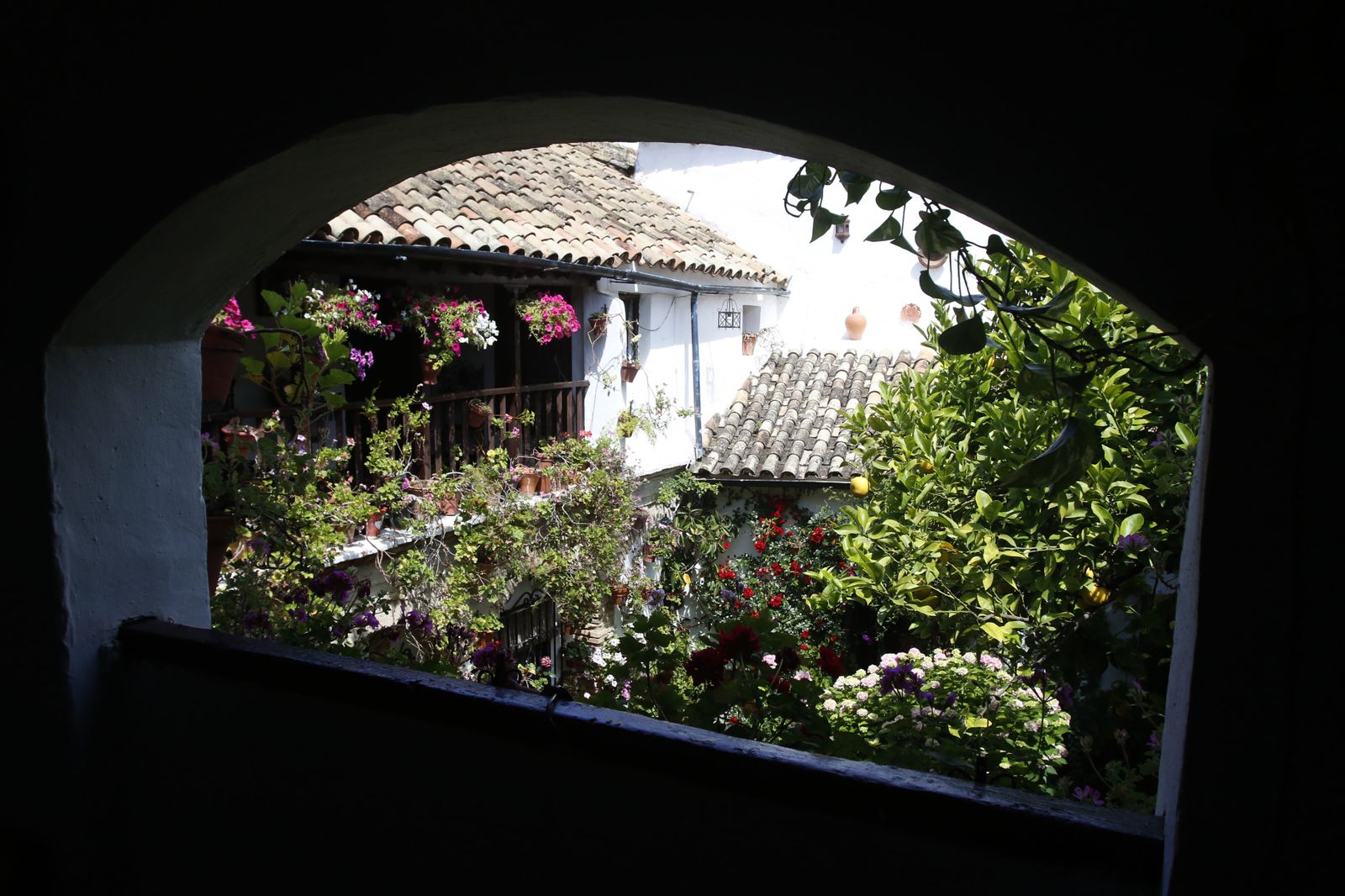 Los Patios de Córdoba en tiempos de crisis: Parras, 6