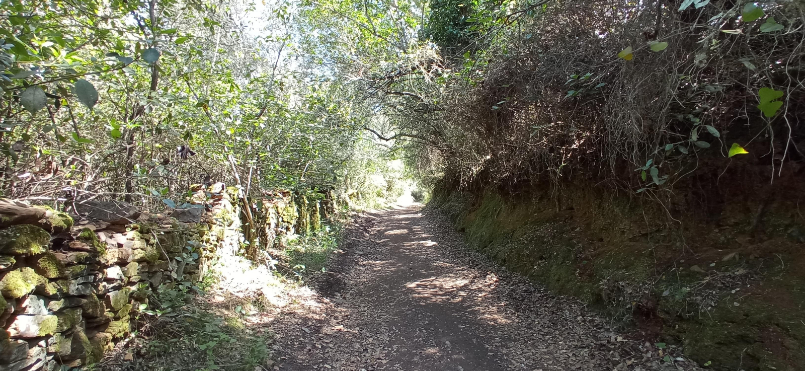 Las imágenes de la ruta de las casas de los Tres Cerditos