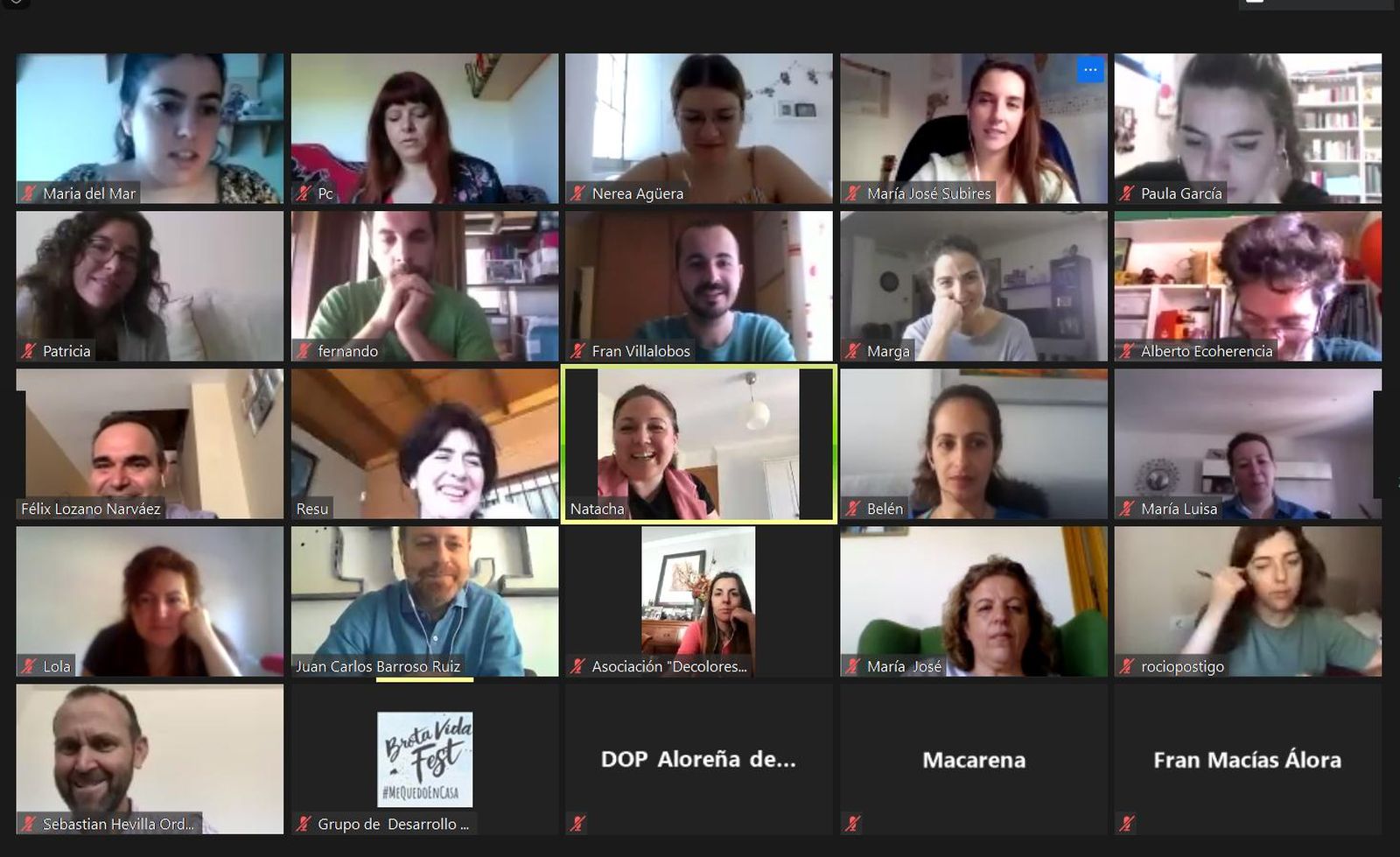 Más de 4.200 personas participan en actividades online de la Diputación de Málaga sobre innovación social