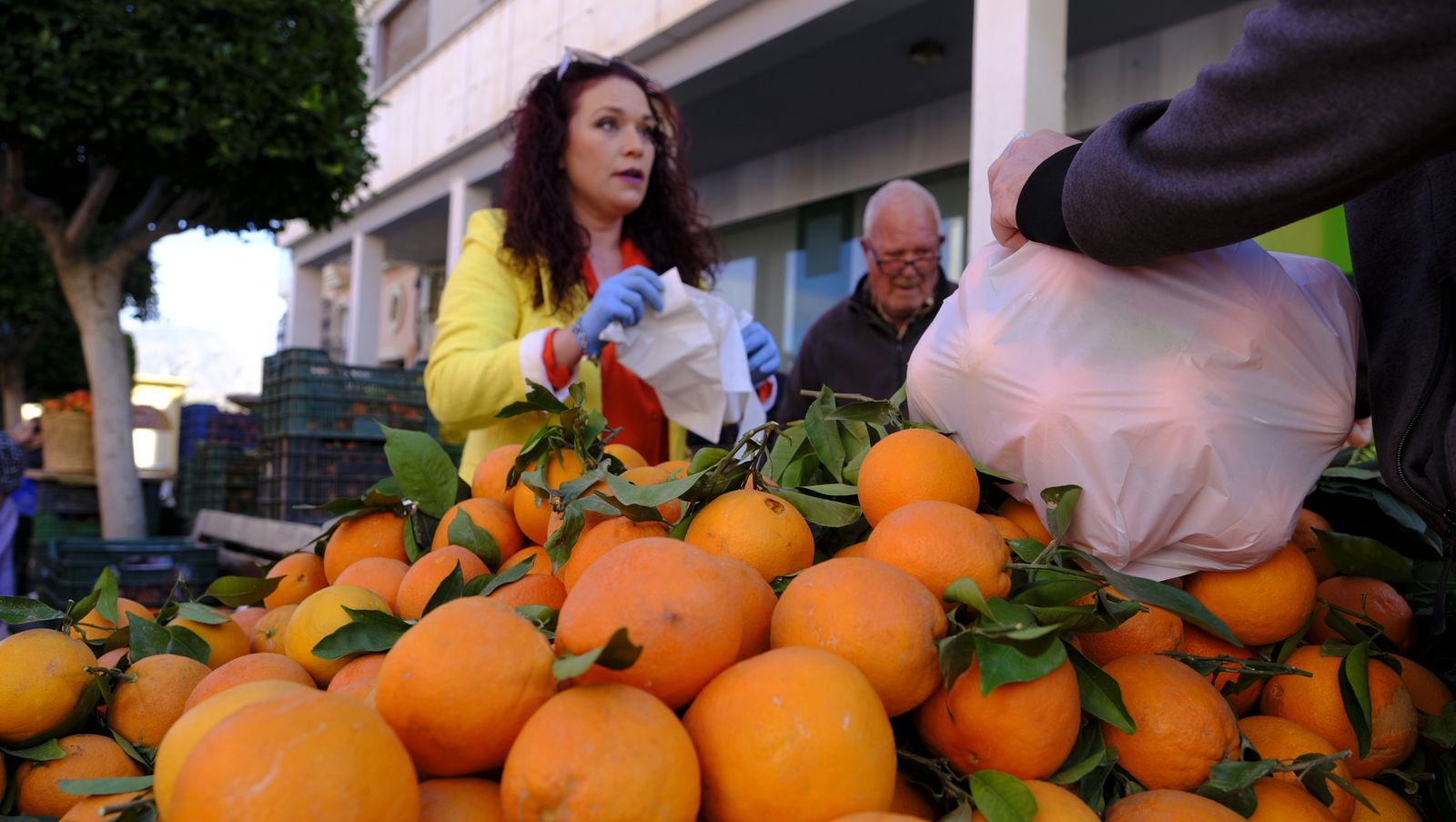 El Día de la Naranja en Gádor, en imágenes