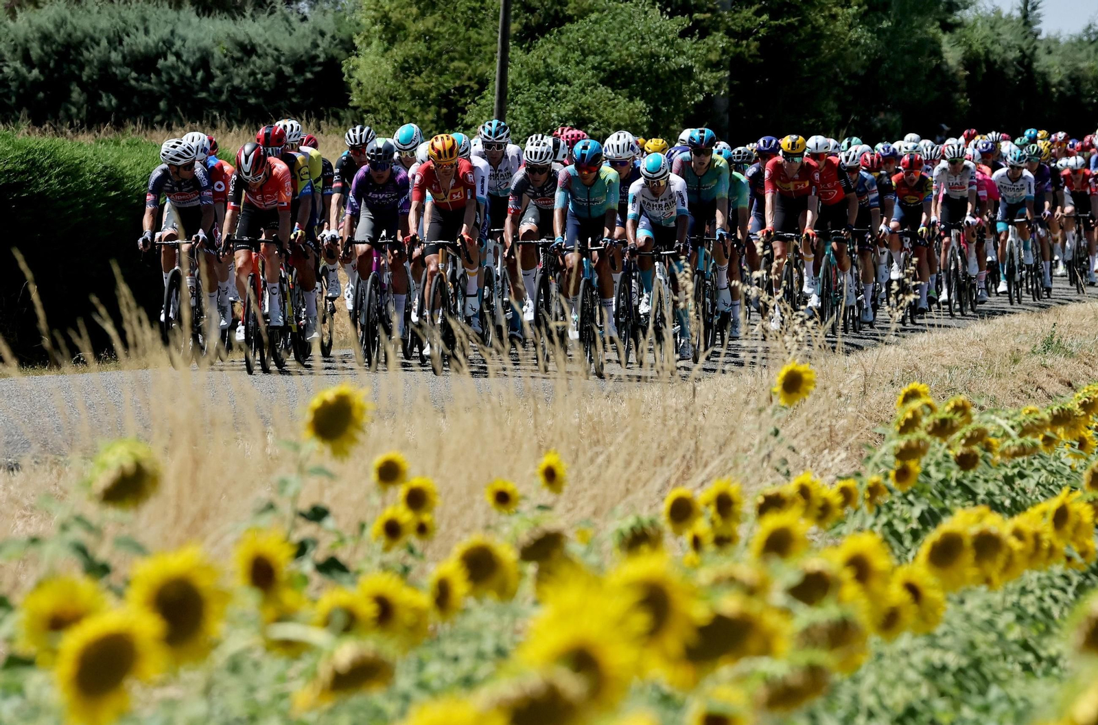 Las mejores fotos del Tour de Francia | Etapa 11