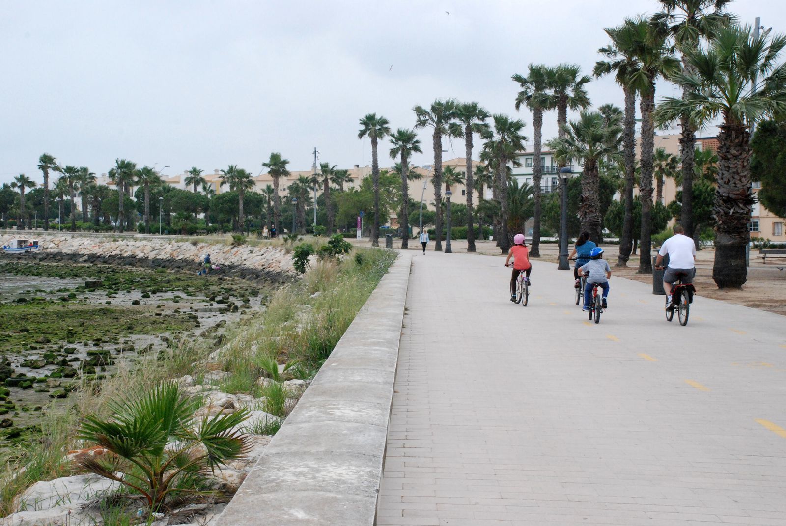 Paseo en bicicleta por el paseo marítimo de Puerto Real en una imagen de archivo.