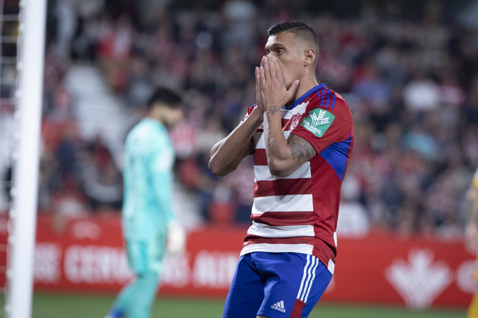 Las mejores imágenes del Granada CF - SD Ponferradina