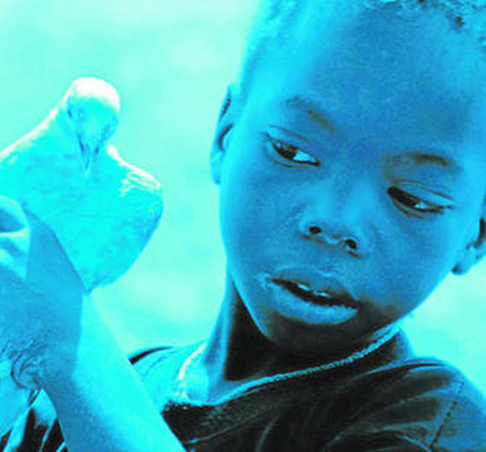 Una imagen de 'Blue bird', del belga Gust van den Berghe.